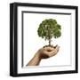 Woman's Hands Holding Soil with a Tree-null-Framed Art Print