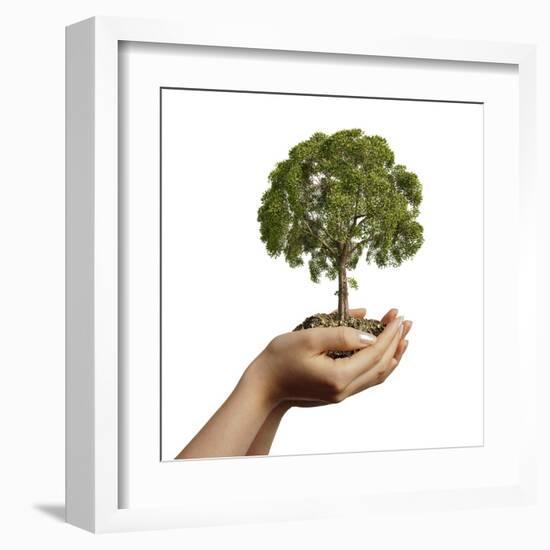 Woman's Hands Holding Soil with a Tree-null-Framed Art Print