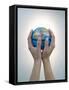 Woman's Hands Holding World Globe-Angelo Cavalli-Framed Stretched Canvas