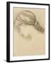 Woman's Head, Detail from a Sketchbook, 1886-Edward Burne-Jones-Framed Giclee Print