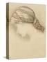 Woman's Head, Detail from a Sketchbook, 1886-Edward Burne-Jones-Stretched Canvas