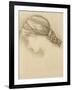 Woman's Head, Detail from a Sketchbook, 1886-Edward Burne-Jones-Framed Giclee Print