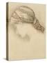 Woman's Head, Detail from a Sketchbook, 1886-Edward Burne-Jones-Stretched Canvas