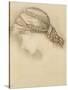 Woman's Head, Detail from a Sketchbook, 1886-Edward Burne-Jones-Stretched Canvas