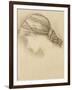 Woman's Head, Detail from a Sketchbook, 1886-Edward Burne-Jones-Framed Giclee Print