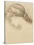 Woman's Head, Detail from a Sketchbook, 1886-Edward Burne-Jones-Stretched Canvas