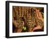 Woman's Palm Decorated in Henna, Jaipur, Rajasthan, India-Keren Su-Framed Photographic Print