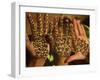 Woman's Palm Decorated in Henna, Jaipur, Rajasthan, India-Keren Su-Framed Photographic Print