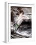 Woman Sat on Chair, C1860-Giovanni Boldini-Framed Giclee Print