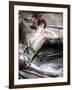 Woman Sat on Chair, C1860-Giovanni Boldini-Framed Giclee Print