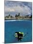 Woman Scuba Diving, Bonaire, Caribbean-Amos Nachoum-Mounted Photographic Print