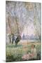 Woman Seated under the Willows-Claude Monet-Mounted Premium Giclee Print