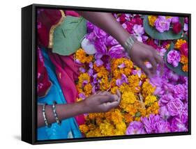 Woman Selling Flower, Pushkar, Rajasthan, India-Keren Su-Framed Stretched Canvas