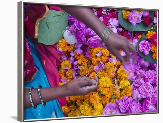 Woman Selling Flower, Pushkar, Rajasthan, India-Keren Su-Framed Photographic Print