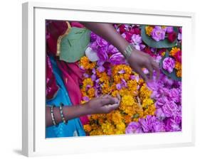 Woman Selling Flower, Pushkar, Rajasthan, India-Keren Su-Framed Photographic Print