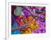 Woman Selling Flower, Pushkar, Rajasthan, India-Keren Su-Framed Photographic Print