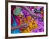 Woman Selling Flower, Pushkar, Rajasthan, India-Keren Su-Framed Photographic Print