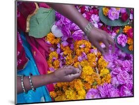 Woman Selling Flower, Pushkar, Rajasthan, India-Keren Su-Mounted Photographic Print