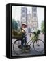 Woman Selling Flowers off Her Bicycle, Hanoi, Vietnam, Indochina, Asia-Tim Hall-Framed Stretched Canvas