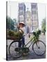 Woman Selling Flowers off Her Bicycle, Hanoi, Vietnam, Indochina, Asia-Tim Hall-Stretched Canvas