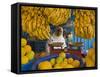 Woman Selling Fruit in a Market Stall in Gonder, Gonder, Ethiopia, Africa-Gavin Hellier-Framed Stretched Canvas