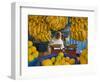 Woman Selling Fruit in a Market Stall in Gonder, Gonder, Ethiopia, Africa-Gavin Hellier-Framed Photographic Print