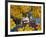 Woman Selling Fruit in a Market Stall in Gonder, Gonder, Ethiopia, Africa-Gavin Hellier-Framed Photographic Print