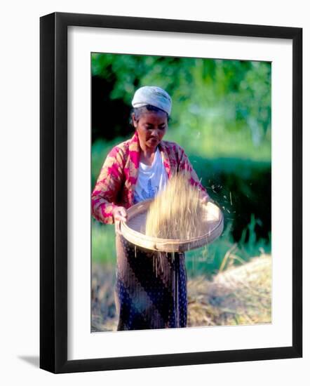 Woman Separates Rice From Hulls, Bali, Indonesia-Merrill Images-Framed Photographic Print