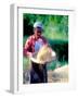 Woman Separates Rice From Hulls, Bali, Indonesia-Merrill Images-Framed Photographic Print