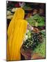 Woman Shopping for Vegetables at a Market in Jodphur, Rajasthan, India-Bruno Morandi-Mounted Photographic Print