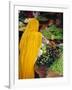 Woman Shopping for Vegetables at a Market in Jodphur, Rajasthan, India-Bruno Morandi-Framed Photographic Print