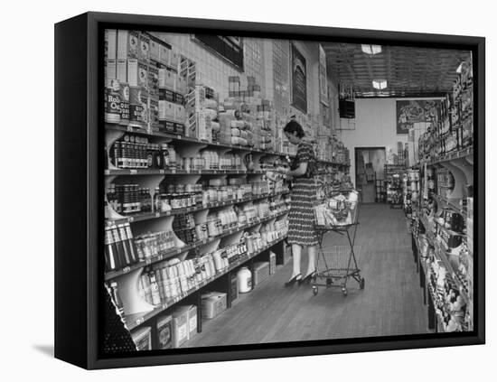 Woman Shopping in A&P Grocery Store-Alfred Eisenstaedt-Framed Stretched Canvas