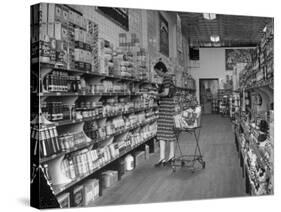 Woman Shopping in A&P Grocery Store-Alfred Eisenstaedt-Stretched Canvas