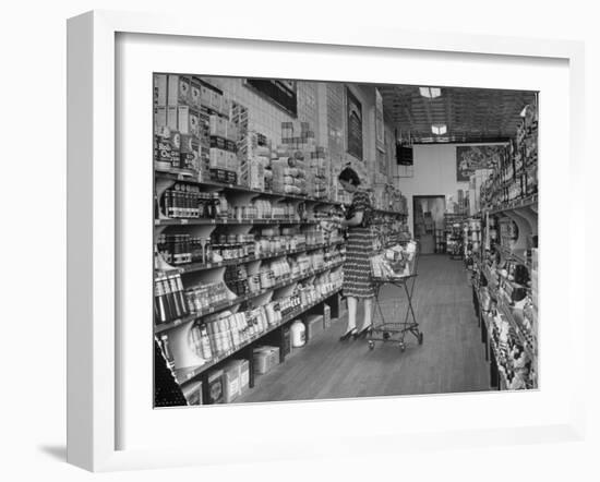 Woman Shopping in A&P Grocery Store-Alfred Eisenstaedt-Framed Photographic Print