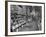 Woman Shopping in A&P Grocery Store-Alfred Eisenstaedt-Framed Photographic Print