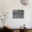 Woman Shopping in A&P Grocery Store-Alfred Eisenstaedt-Mounted Photographic Print displayed on a wall