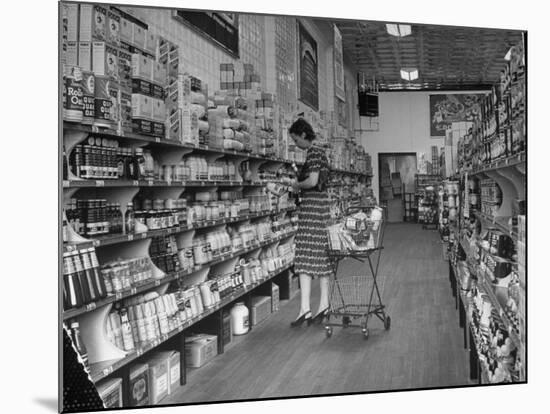 Woman Shopping in A&P Grocery Store-Alfred Eisenstaedt-Mounted Photographic Print