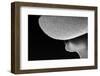 Woman Silhouette in Black and White Photo, Artistic Photo of Woman,Woman in Hat Fragment Photo, Con-Renata Apanaviciene-Framed Photographic Print