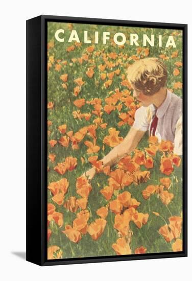 Woman Sitting in Poppies, California-null-Framed Stretched Canvas