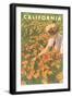 Woman Sitting in Poppies, California-null-Framed Art Print