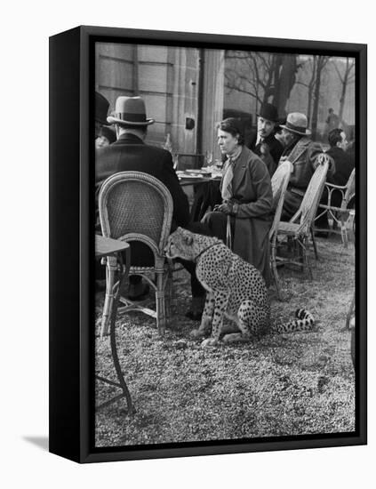 Woman Sitting with Her Pet Ocelot Having Tea at Bois de Boulogne Cafe-Alfred Eisenstaedt-Framed Stretched Canvas