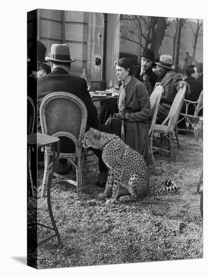 Woman Sitting with Her Pet Ocelot Having Tea at Bois de Boulogne Cafe-Alfred Eisenstaedt-Stretched Canvas