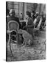 Woman Sitting with Her Pet Ocelot Having Tea at Bois de Boulogne Cafe-Alfred Eisenstaedt-Stretched Canvas