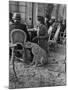 Woman Sitting with Her Pet Ocelot Having Tea at Bois de Boulogne Cafe-Alfred Eisenstaedt-Mounted Photographic Print