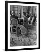 Woman Sitting with Her Pet Ocelot Having Tea at Bois de Boulogne Cafe-Alfred Eisenstaedt-Framed Photographic Print