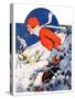 "Woman Skier,"February 14, 1931-James C. McKell-Stretched Canvas