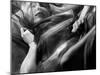 Woman Sleeping, Covered with Veil-Antonino Barbagallo-Mounted Premium Photographic Print