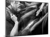 Woman Sleeping, Covered with Veil-Antonino Barbagallo-Mounted Photographic Print