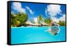 Woman Snorkeling in Clear Tropical Waters in Front of Exotic Island-BlueOrange Studio-Framed Stretched Canvas