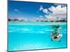 Woman Snorkeling in Clear Tropical Waters in Front of Overwater Villas-BlueOrange Studio-Mounted Photographic Print